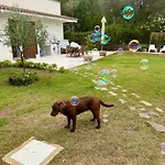 Maya With Garden 1000m To 300m From The Sea In Pula Villa