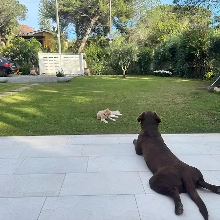 Maya With Garden 1000m To 300m From The Sea In Pula Villa *
