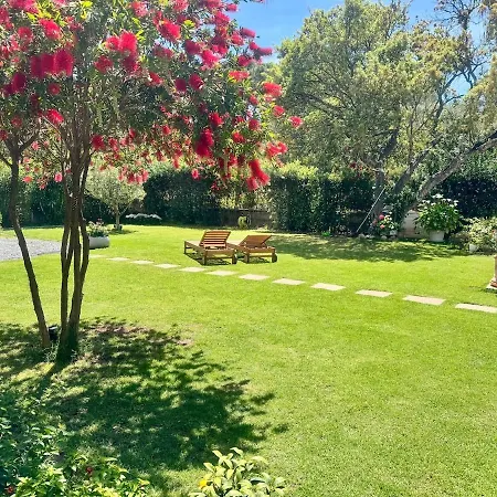 Maya With Garden 1000m To 300m From The Sea In Pula Villa