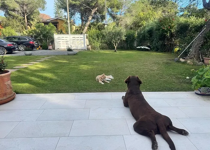 Maya With Garden 1000m To 300m From The Sea In Pula Villa *