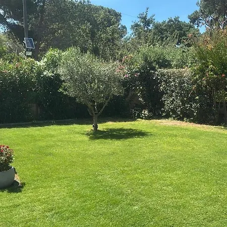 Maya With Garden 1000m To 300m From The Sea In Pula *