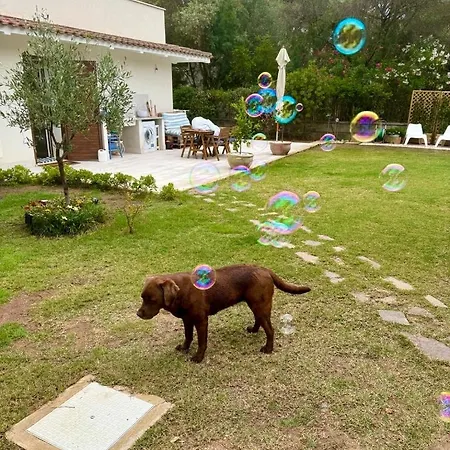 Maya With Garden 1000m To 300m From The Sea In Pula Vila