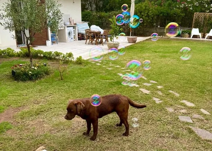 Maya With Garden 1000m To 300m From The Sea In Pula Villa