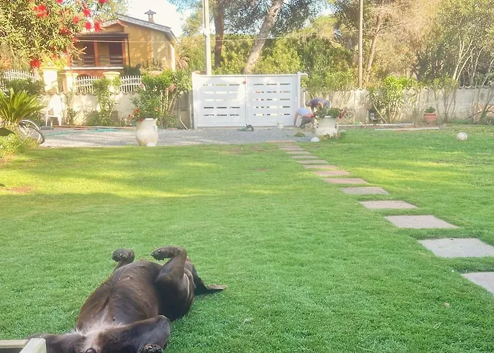 Maya With Garden 1000m To 300m From The Sea In Pula Fox E Sali-monte Agumu